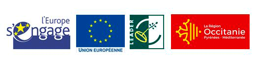 Bloc-marque-leader-nouveau-logo-Occitanie
